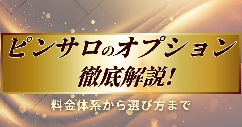 ピンサロのオプションについて詳しく解説します
